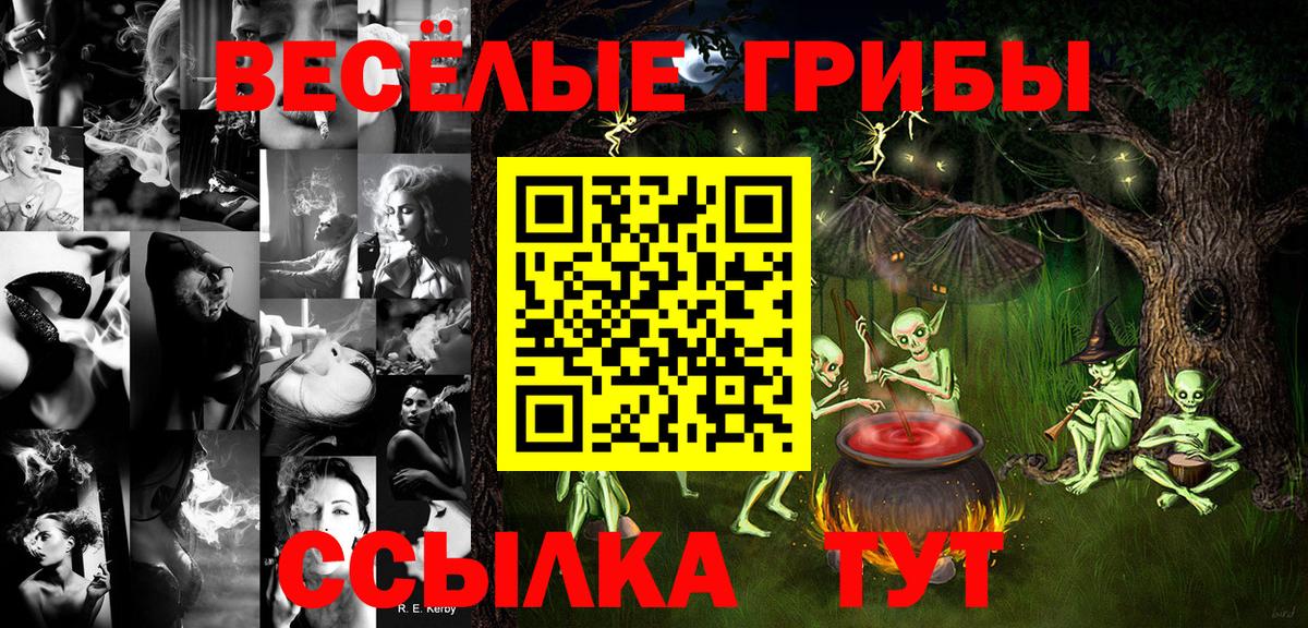 Обь  Галлюциногенные грибы Psilocybine cubensis  Вход с VPN 