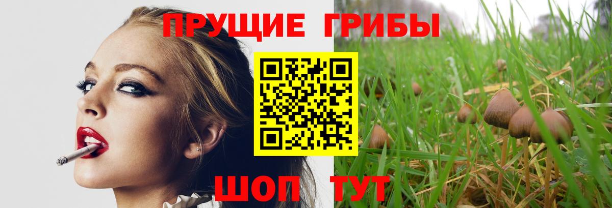 Галлюциногенные грибы прущие грибы Обь